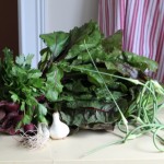 Why I Love My Farm Share