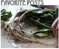 fav posts
