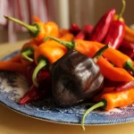 Peter Picked a Plate of Peppers: Yellow Mole