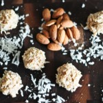 How a Dehydrator Began a Marriage: Coconut Almond Macaroons