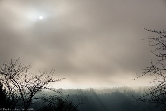 beautiful oregon fog