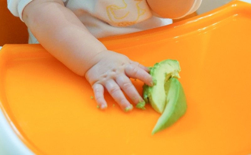 Baby Led Weaning | Jessie @ The Happiness in Health